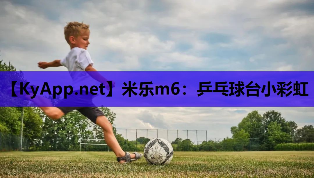 米乐m6:乒乓球台小彩虹