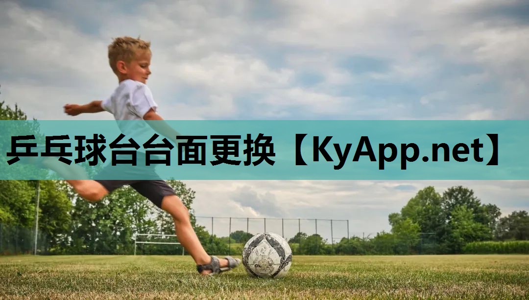 乒乓球台台面更换