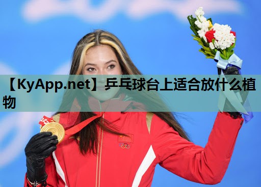 乒乓球台上适合放什么植物