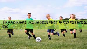 米乐m6官方网站:中号乒乓球台怎么样的