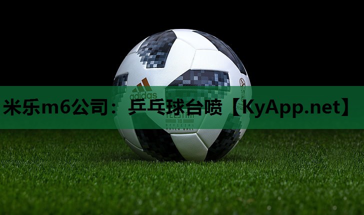 米乐m6公司:乒乓球台喷