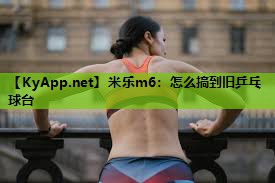 米乐m6:怎么搞到旧乒乓球台