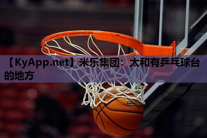 米乐集团:太和有乒乓球台的地方
