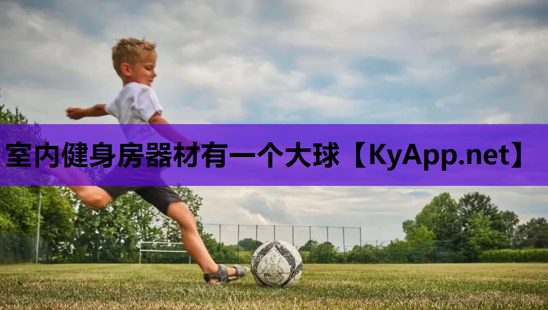 室内健身房器材有一个大球