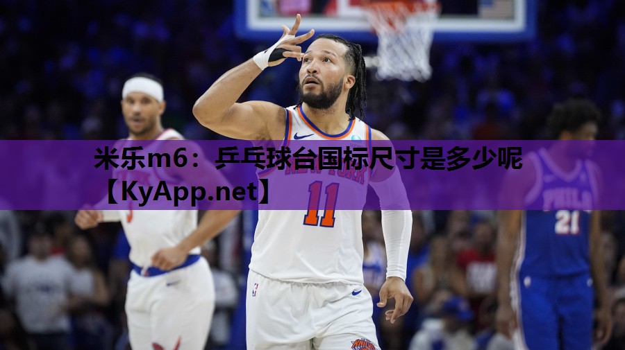 米乐m6:乒乓球台国标尺寸是多少呢