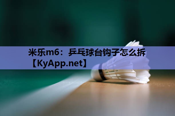 米乐m6:乒乓球台钩子怎么拆