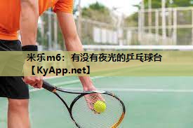 米乐m6:有没有夜光的乒乓球台