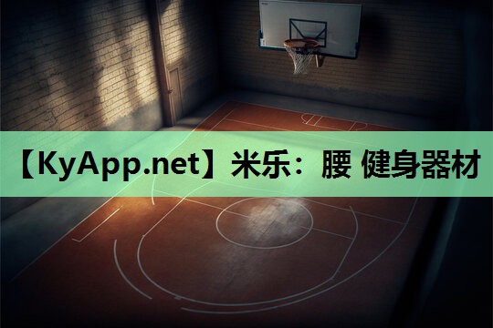 米乐：腰 健身器材