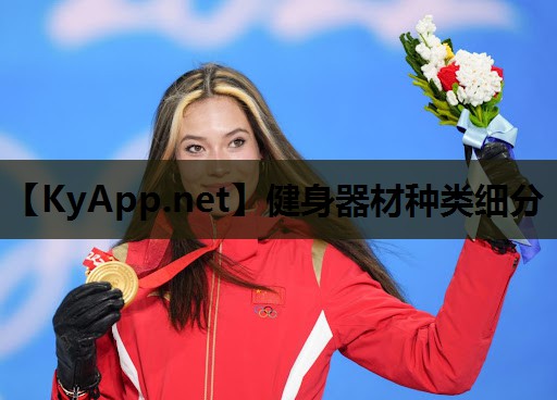 健身器材种类细分