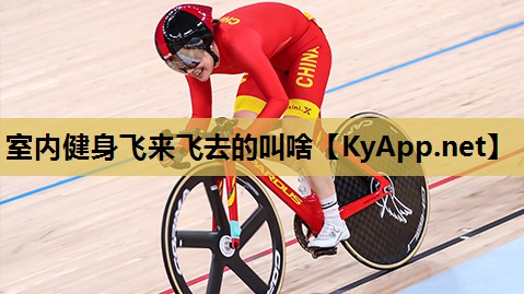 室内健身飞来飞去的叫啥