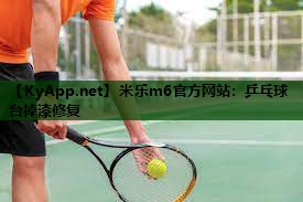 米乐m6官方网站：乒乓球台掉漆修复
