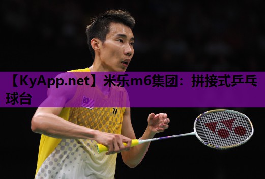 米乐m6集团:拼接式乒乓球台