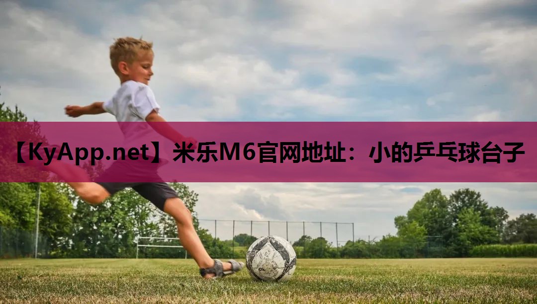 米乐M6官网地址:小的乒乓球台子