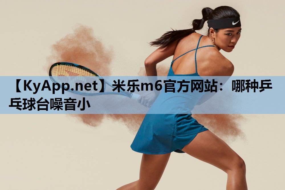 哪种乒乓球台噪音小