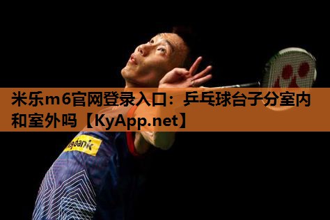 乒乓球台子分室内和室外吗
