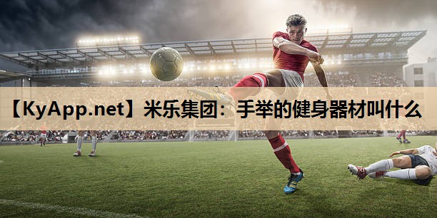 手举的健身器材叫什么