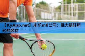 推大腿肝胆经的器材