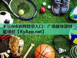 广场健身器材篮球框
