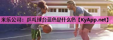 乒乓球台蓝色是什么色