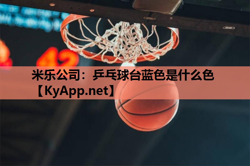 乒乓球台蓝色是什么色