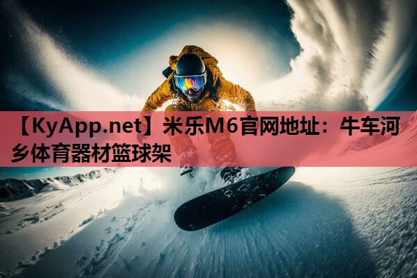 牛车河乡体育器材篮球架