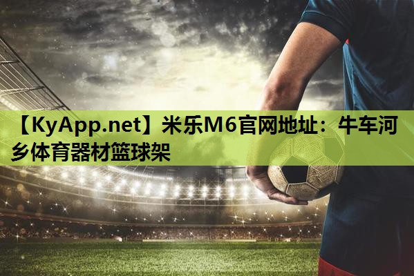 牛车河乡体育器材篮球架