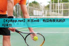 有没有夜光的乒乓球台