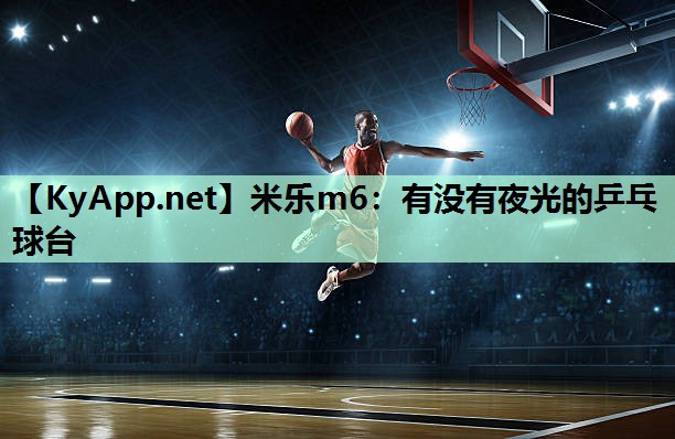 有没有夜光的乒乓球台