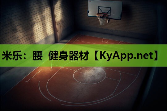 腰 健身器材