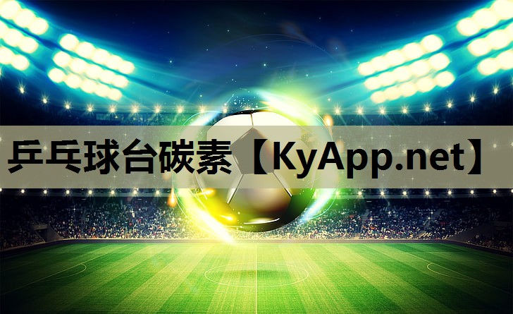 乒乓球台碳素
