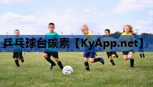 乒乓球台碳素