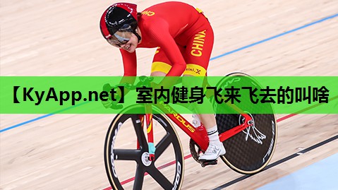 室内健身飞来飞去的叫啥