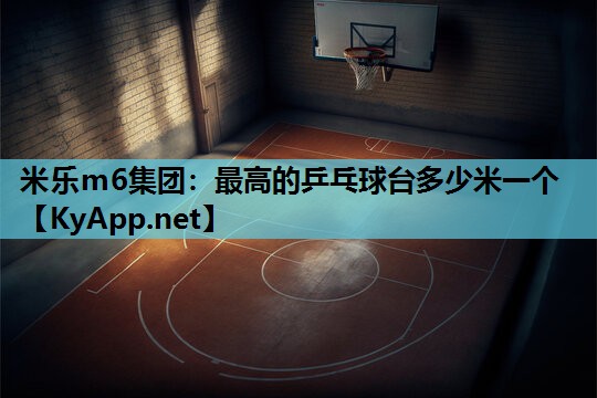 最高的乒乓球台多少米一个