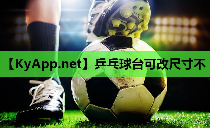 乒乓球台可改尺寸不