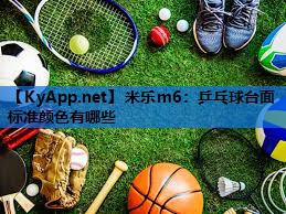 乒乓球台面标准颜色有哪些