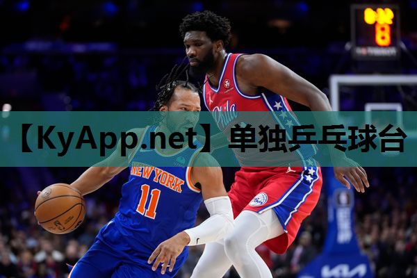 单独乒乓球台