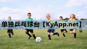 单独乒乓球台