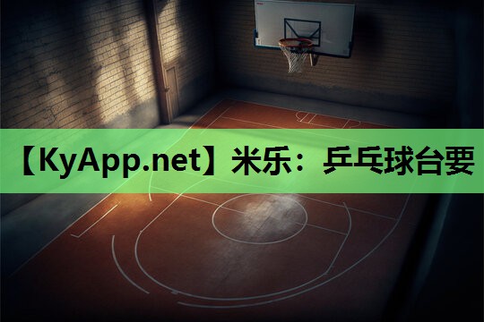 乒乓球台要
