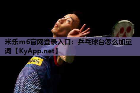 乒乓球台怎么加量词