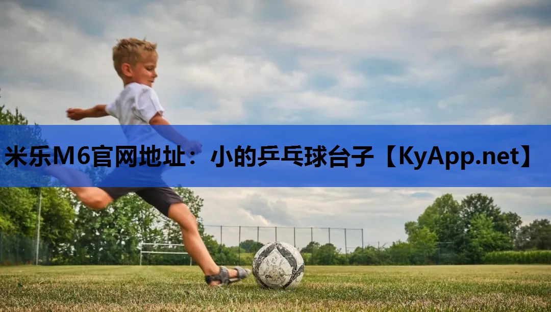 小的乒乓球台子